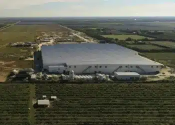 Arctic oppgraderer Atlantic Sapphire til kjøp 18 kr