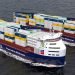 MPC Container Ships – Vi er i behov av dårligere rater