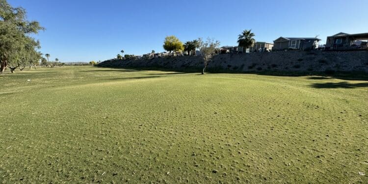 (+) Nyttårsintervju med Ole Kristian Sivertsen!
