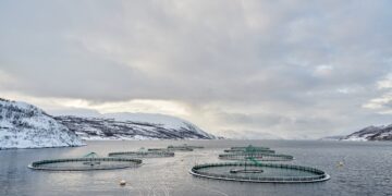 Grieg Seafood-aksjen til værs etter storsalg