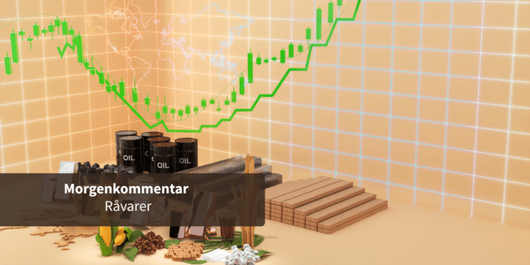 Morgenrapport råvarer
