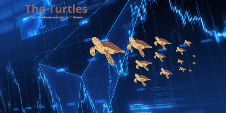 (+) The Turtles. Trendtraderne som tjente millioner