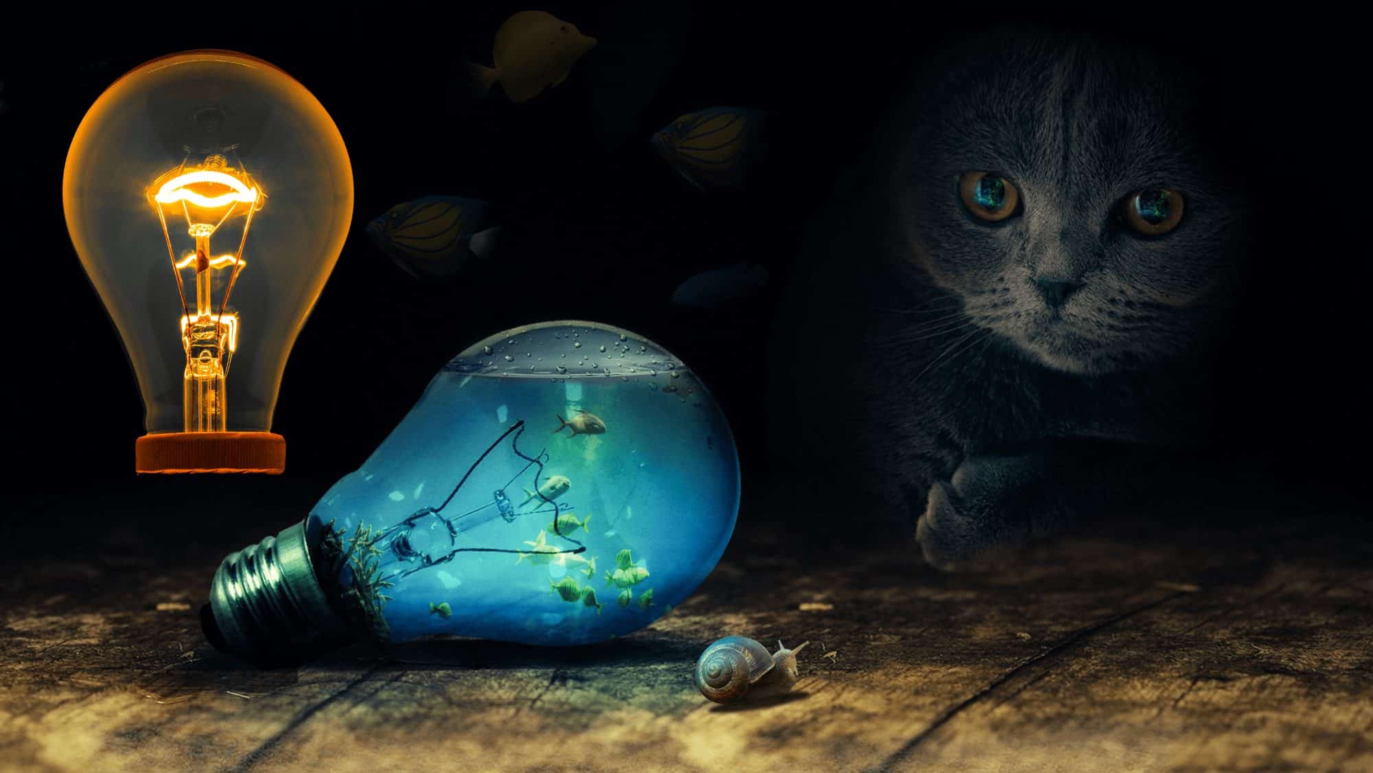 (+) Investtech-analyse: Kjøp denne aksjen