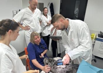 Milepæl for Lifecare – derisker et nytt marked!