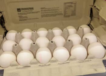 Disse dagligvarene har steget mest i pris