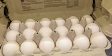 Disse dagligvarene har steget mest i pris