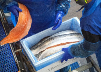 Norges handel med USA har holdt seg høy på tross av tolluro