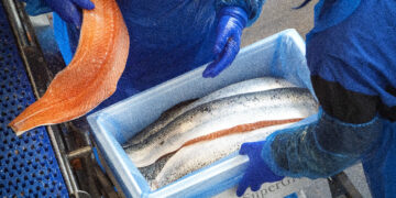 Norges handel med USA har holdt seg høy på tross av tolluro