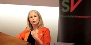 (+)En Vurdering av SVs Skattepolitikk