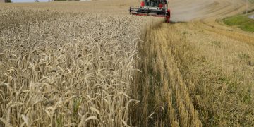 Bondelaget slår alarm om inntektsfall i jordbruket