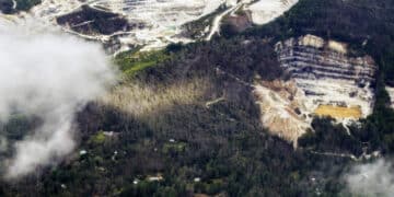 Høyteknologisk råvare hardt rammet av orkanen Helene