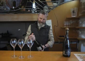 Trump-toll vil få dramatiske følger for europeiske vinbønder