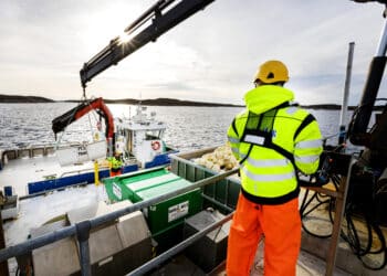 Frode Arntsen: En ærlig refleksjon over oppdrettsnæringens utfordringer og muligheter