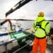 Frode Arntsen: En ærlig refleksjon over oppdrettsnæringens utfordringer og muligheter