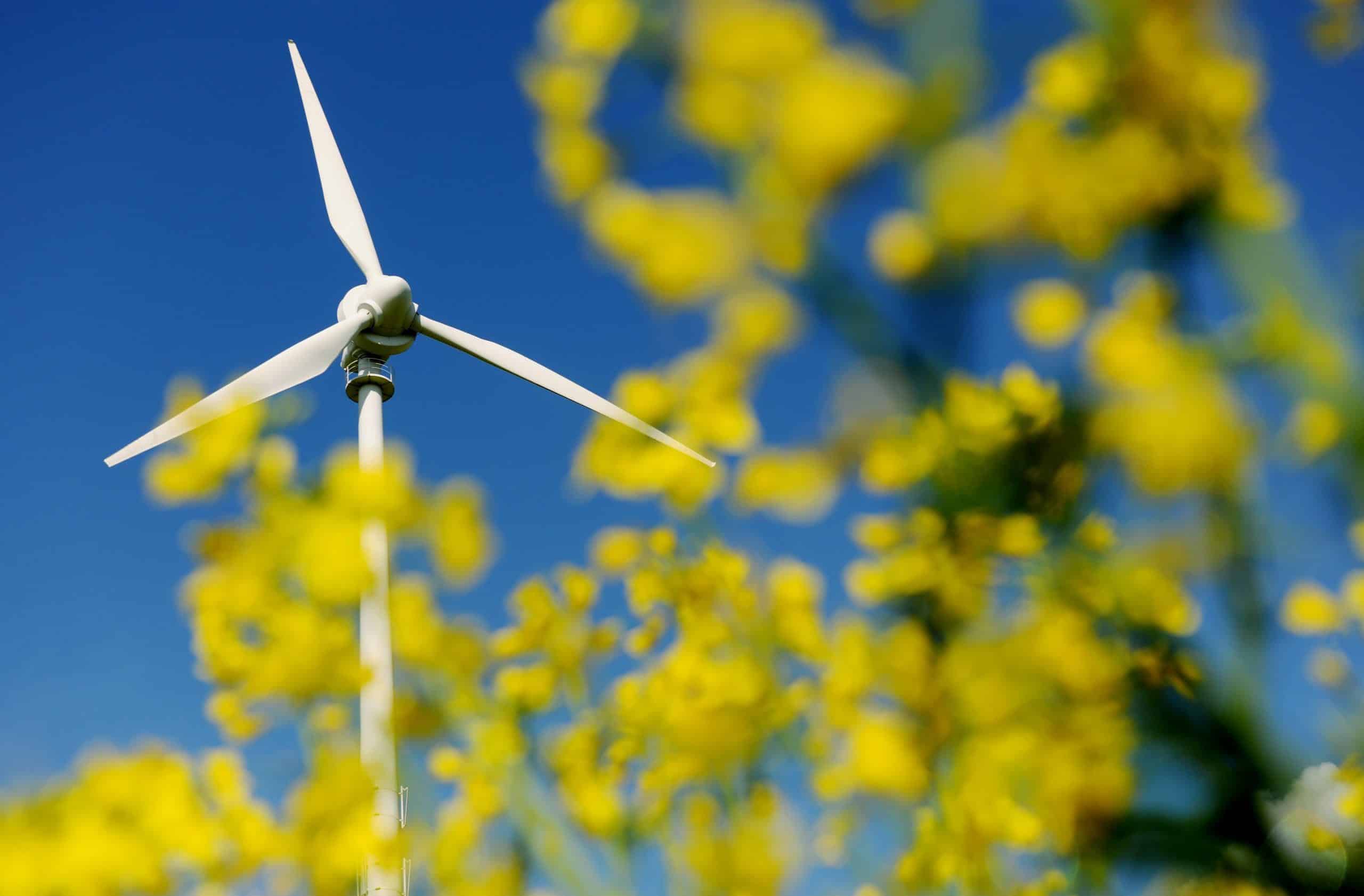 Danmarks regjering vil kutte gass og ha fire ganger så mye vind- og solkraft
