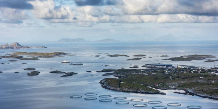 Svak nedgang i laksedød ved oppdrettsanlegg i sjøen