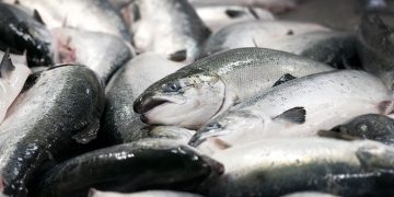 Er Norge lite attraktivt for investorer?