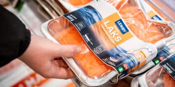 (+) Disse fiske-aksjene anbefaler de nå