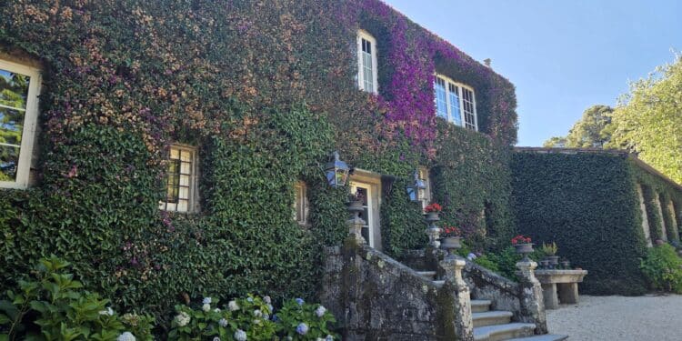 Verdens beste Albarino – et besøk i Galicia