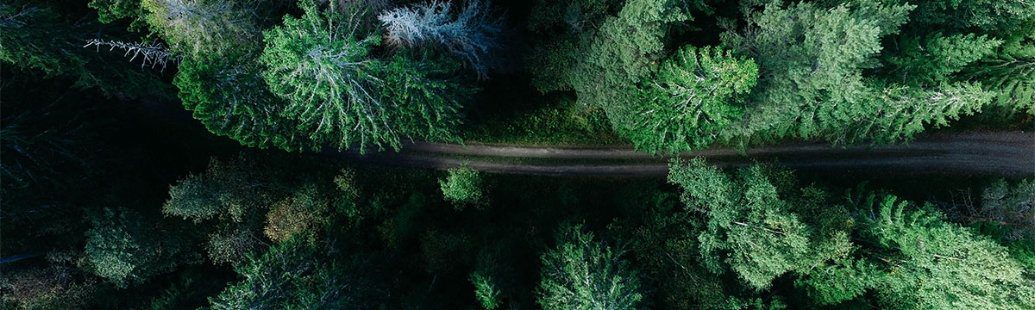 (+) Teknisk analyse Norske Skog