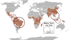 EU-regler mot avskoging får konsekvenser for verdens kaffeprodusenter