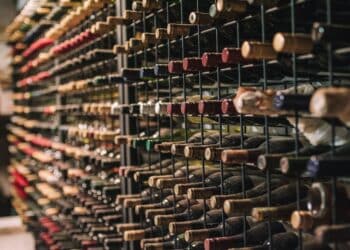 Vin som investering: hvordan spare penger på lagringsvin