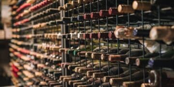 Vin som investering: hvordan spare penger på lagringsvin