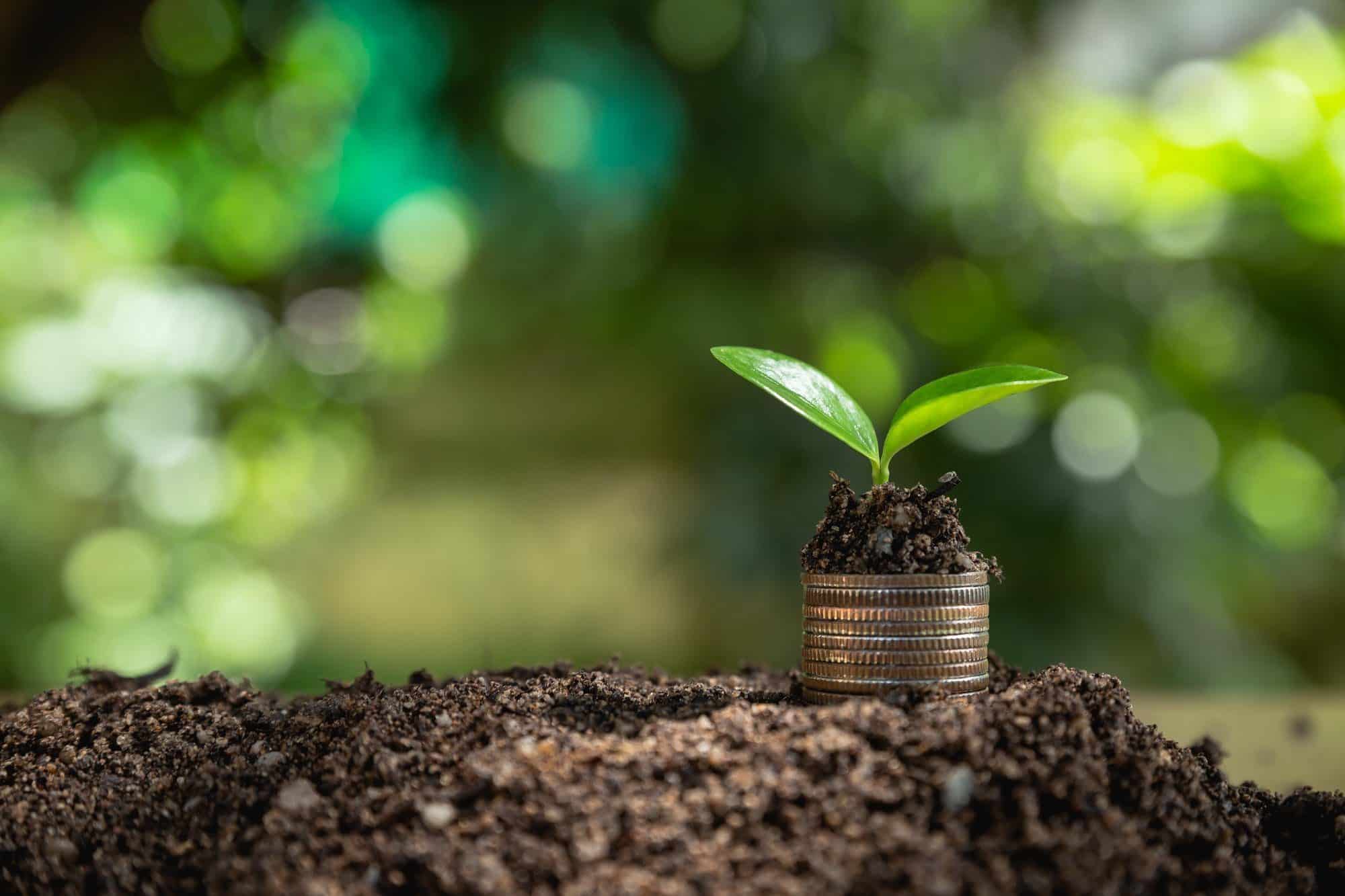 Money growth Saving money.