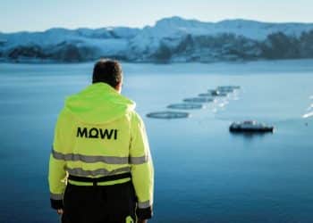 (+) Dybdeanalyse av Mowi – del 1.