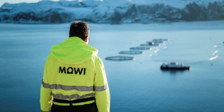 (+) Dybdeanalyse av Mowi – del 1.