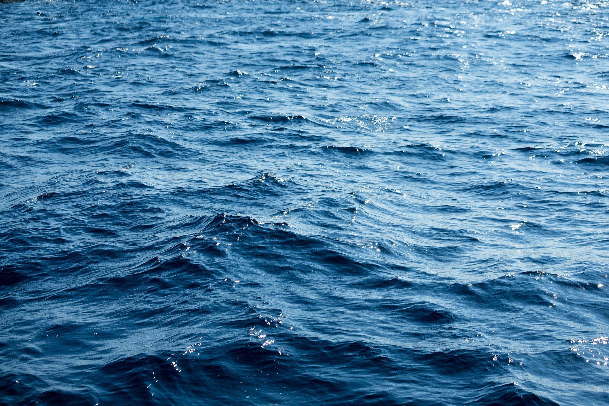 Ocean