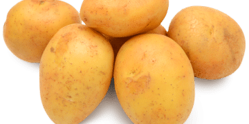 Landbruksdirektoratet snur: – Norske poteter vil være tilgjengelig lenge